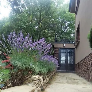 Apartment V Zahrade Troja - In The Garden Troja, Prag